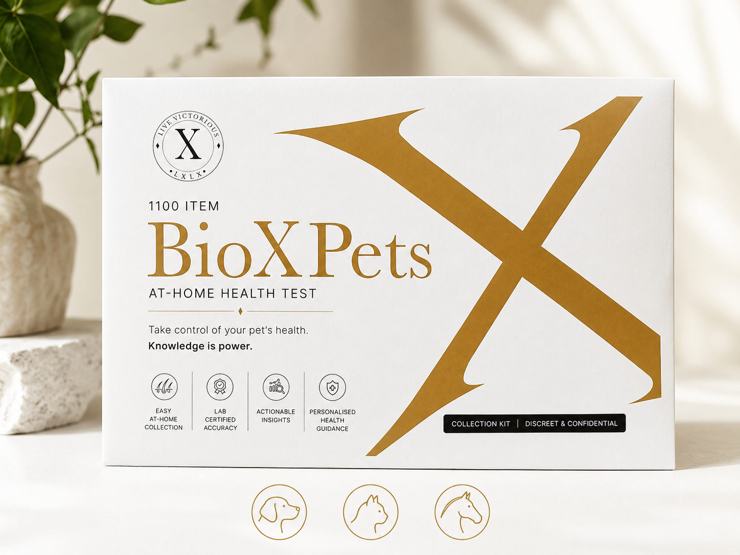 BioX Pets kit